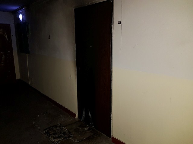 64350532_1553984104735998_9016219192868732928_o