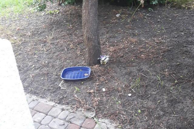 photo_2019-06-07_08-57-05