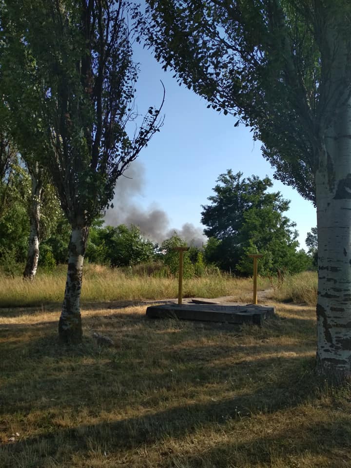 65677887_2214514701936889_1050269746122981376_n