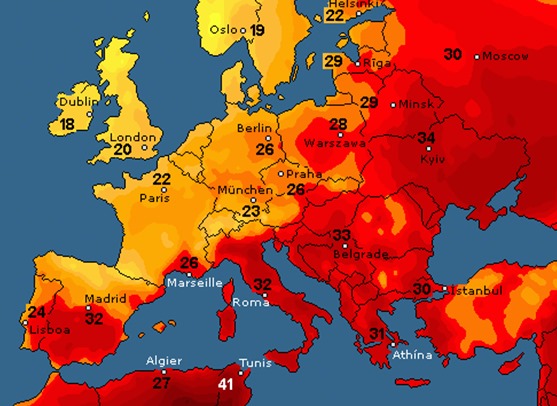 64626206_2282324261862182_851080175230648320_n