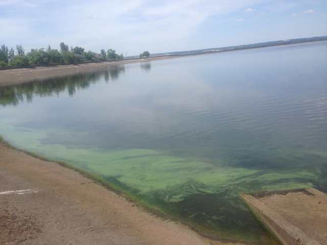 65862812_1062893003906580_4899123814199197696_n