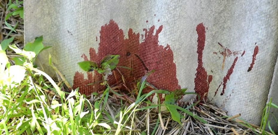 198456479_839920136615487_823765011347341441_n