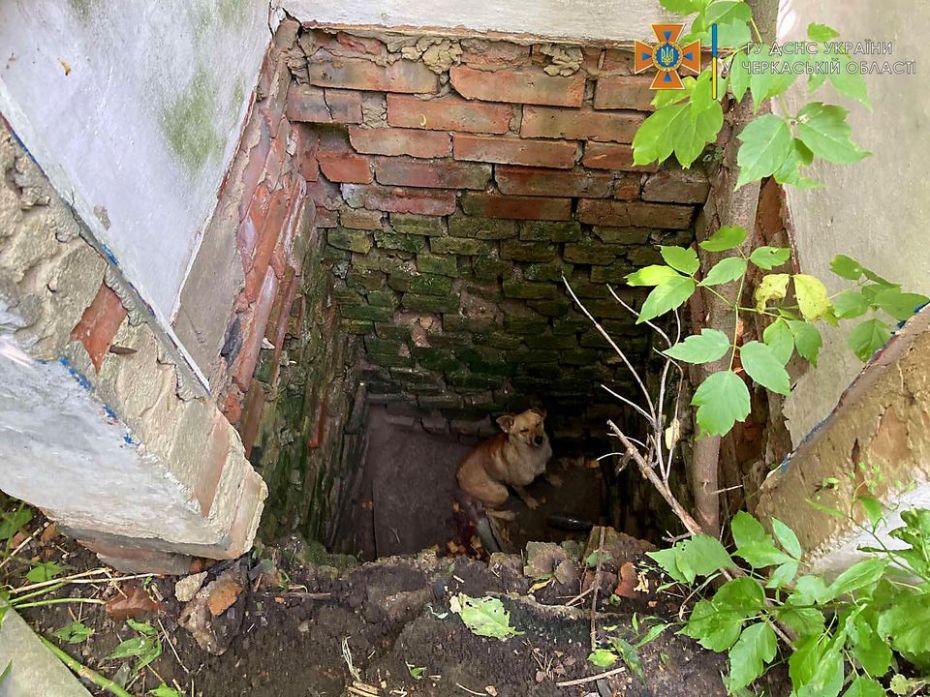 205220698_4131537946882815_5807470431884213945_n