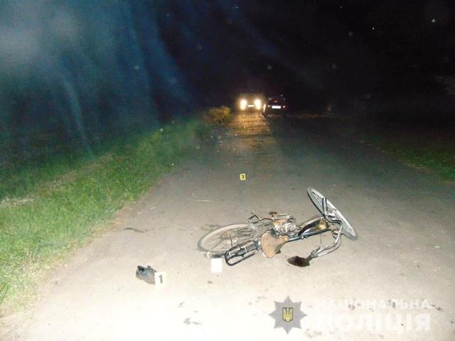 197734820_1133738960444969_735642004255136496_n