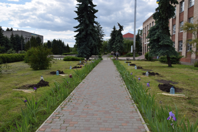 изображение_2021-06-07_113019-768x512