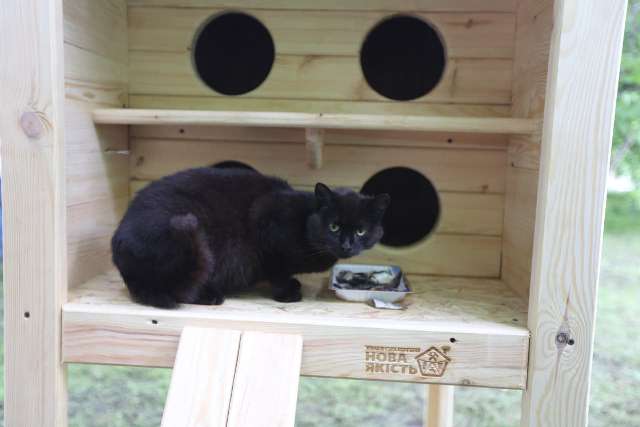 photo_2021-06-04_13-12-55 (2)