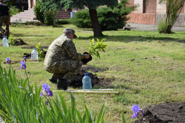 изображение_2021-06-07_113005-768x512