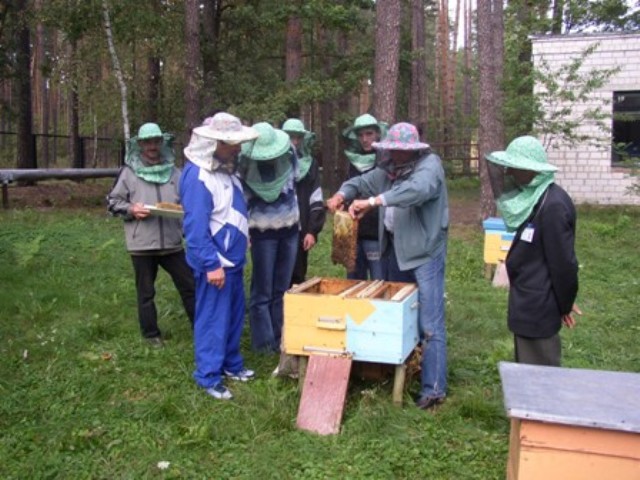 Рисунок15