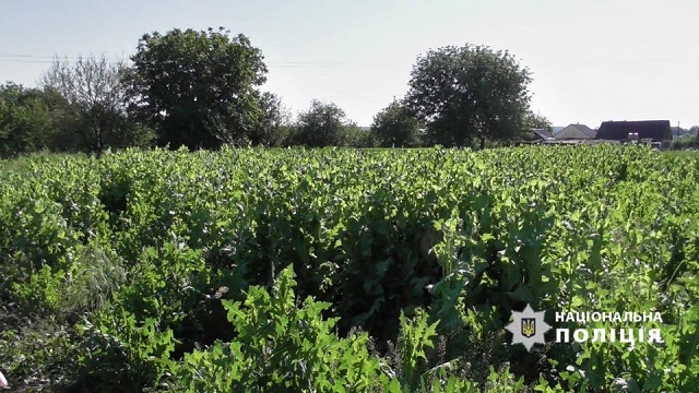 196444002_1135547366930795_5117205259314334719_n