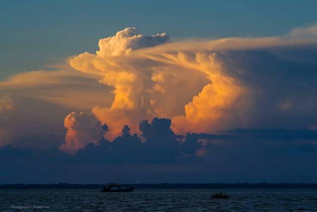 200902086_1859126914256318_3152584866394260351_n