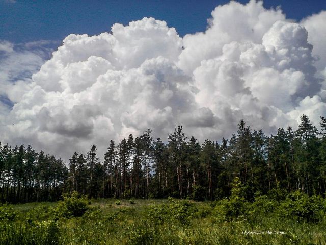 198668088_1855907091244967_3226530576164015602_n