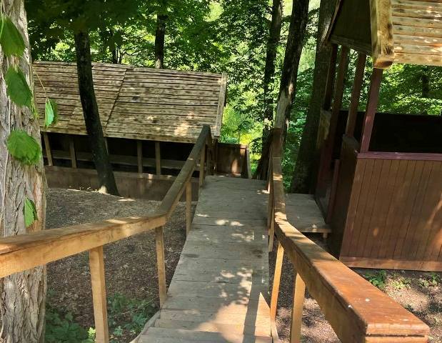 зображення_viber_2021-06-16_10-52-15