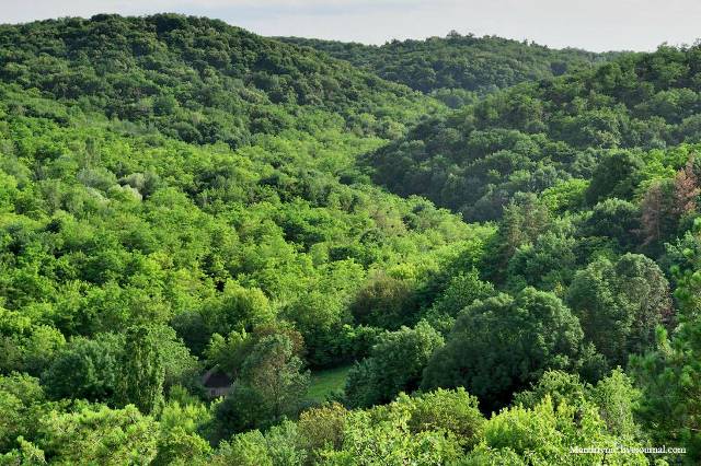 13443293_626543484181340_7519825856490435080_o