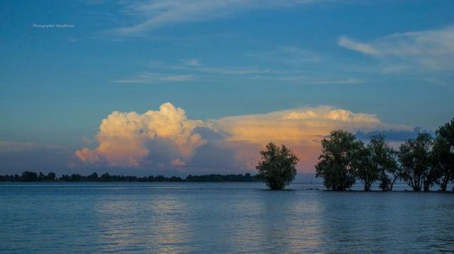 200602500_1861100214058988_1769302953762455688_n