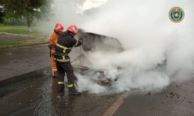 photo5310193571187504269