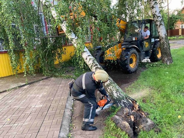 200060346_4092739904095953_7116309329069056402_n