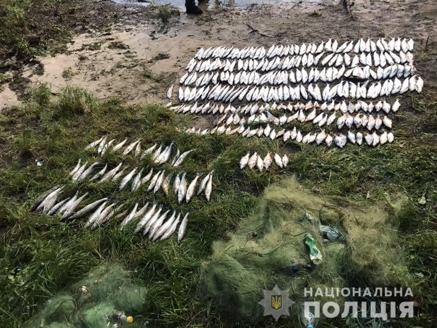 203574091_1142784229540442_1687221486202380760_n