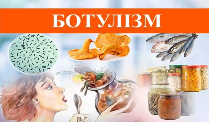 1b8257f077c49fb9a0e475b0e1bc0015_h398