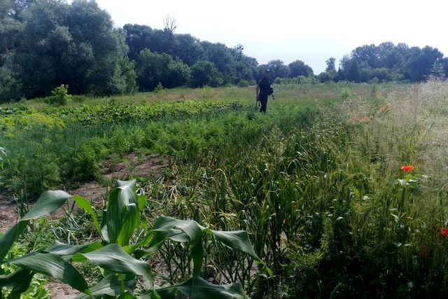 210750238_1147246845760847_4514883371259639468_n