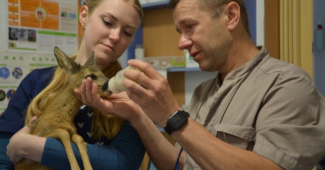 o_1g65rrj9tsnc1efh785k2ndce1k