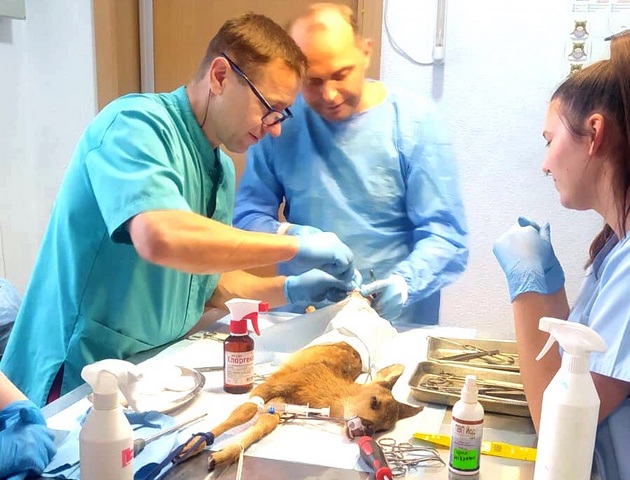 o_1g65r96t0duok3ifjf19vn180s2i