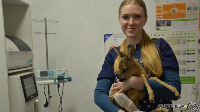 o_1g65rdqc81a3b1kj12hb3mp17os65