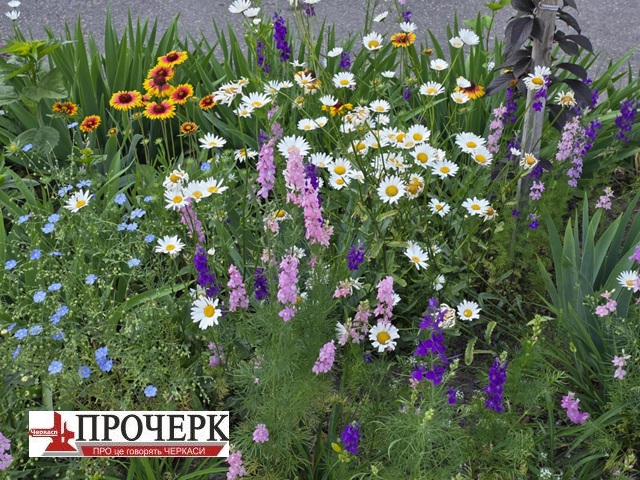Без назви