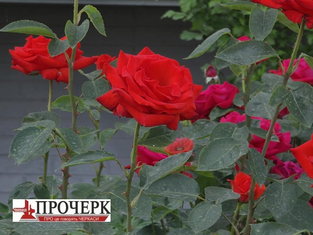 Без назви70
