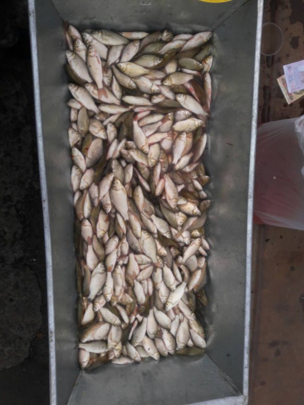 IMG-710ea8470f618ddf60ea940abbb96f67-V