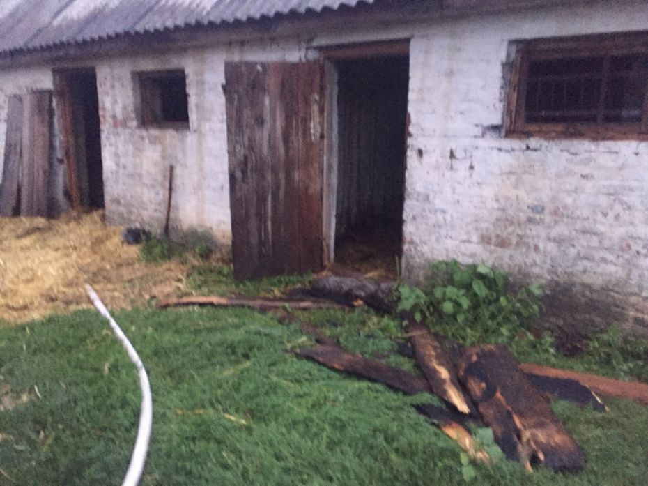 IMG-1c026653e707a3da4be5d4c15c102d36-V