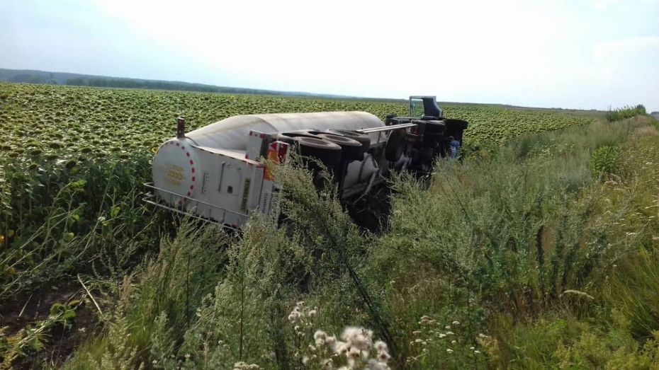 37807649_1691221067662550_2915249201514283008_n