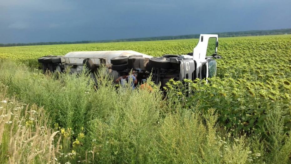 37733365_1691221130995877_7874128547810377728_n