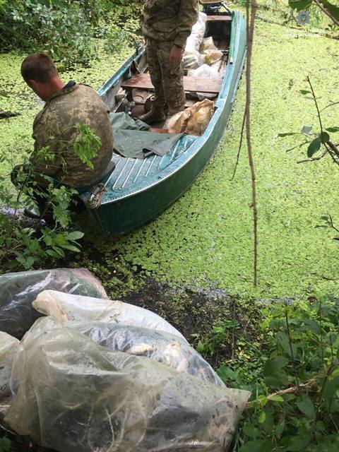 37721597_1786403911437677_5183882014234771456_n