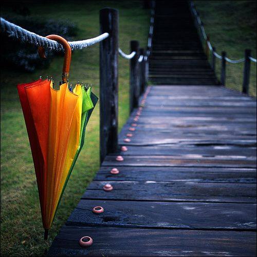 37384708_2051688988478348_7136889379863134208_n