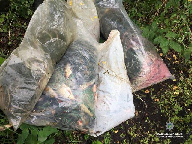 37707743_1786403881437680_2091601776972136448_o