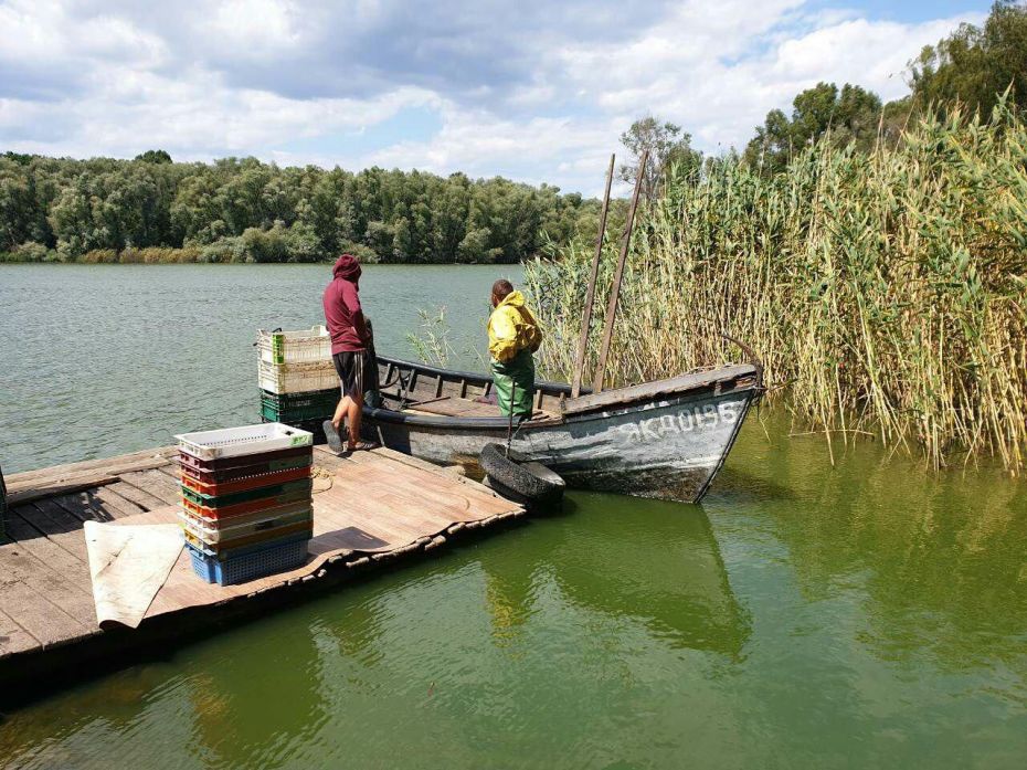 photo_2019-07-12_14-25-18