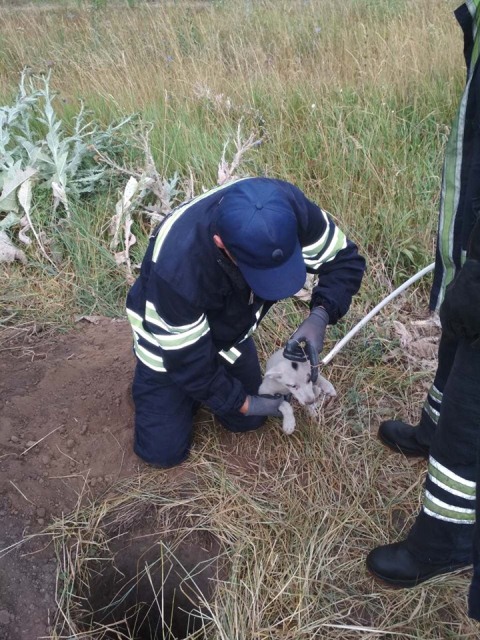 66529646_1571765822957826_7121729837525368832_n