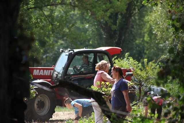 67562370_465521287582568_5594872081943625728_n