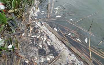 67667266_789806234749482_8054005342989713408_n