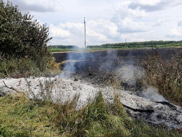 67436052_2359496924086935_6883690290280923136_o