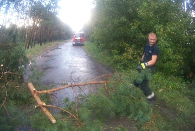 67293507_1585633818237693_5381235465133228032_o