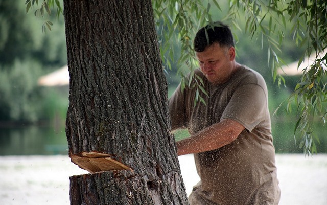 67087557_465521800915850_7250301285553930240_n