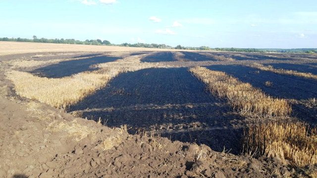 67723115_2359497384086889_2991333774068809728_o