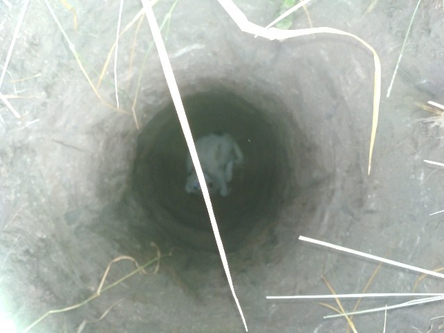 66170014_1571765679624507_7084069592884051968_o