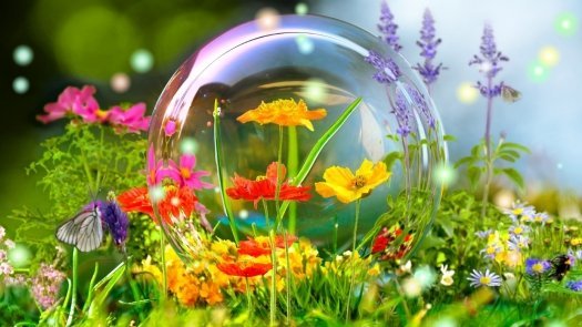 6457309a60b2e1d2f65c3d05cbd8b2a2_crop_l_7_t_40_w_1902_h_1070_resize_w_525_h_