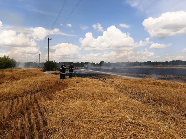 67553191_2359496934086934_4777930845107257344_n