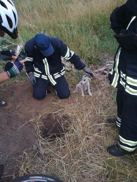 66167452_1571765466291195_4777367890858868736_n