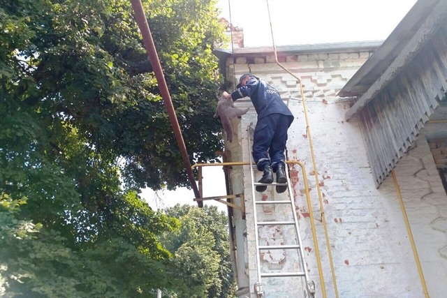 67064792_2356016144435013_1182342249627779072_n