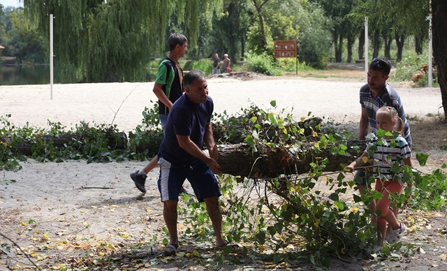 67397611_465521617582535_798896893814898688_n