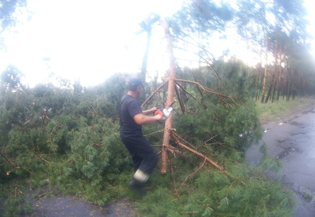 67347049_1585633834904358_3168128444881960960_o